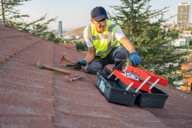 Best Siding Replacement  in Pantops, VA